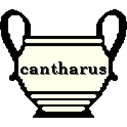 cantharus